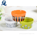 /msite/products/detail/productid/57730540/id/678751.html